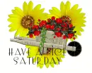 Have a nice Saturday