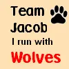 I run with WOLVES