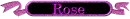 Rose