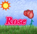 Rose