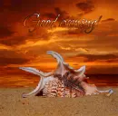 Good evening!