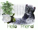 Hello Friend