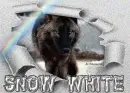 wolf in the snow - SnowWhite