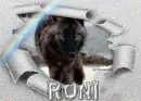 wolf in the snow - Roni 