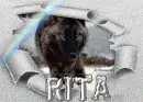 wolf in the snow -- Rita 
