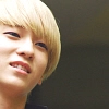 L.joe