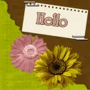 hello