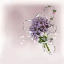 Pink flowers