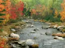 Autumn, river, stones