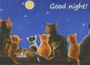 good night!