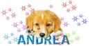 sweet puppy -- Andrea 