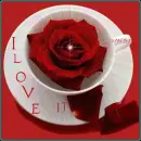 i love it