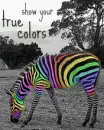 true