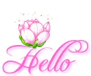 Hello