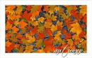 autunno