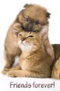 Friends forever!