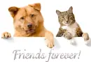 Friends forever!
