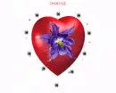 red heart