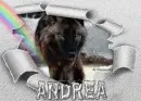 Wolf in the snow - Andrea 