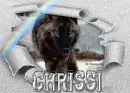 wolf in the snow --- Chrissi
