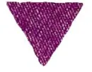 Purple Triangle