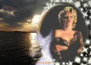 146.092010-rememberMarilynatsealargewithangel-sa