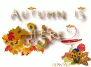 autumn