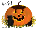 Rachel Pumpkin