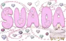 SUADA