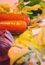 VeGGiEz