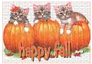 happy fall