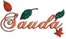 Sauda