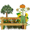 Automn