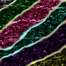 Colorful BACKGROUND