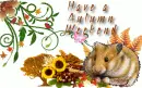 Have a Autunm Weekend