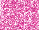 Pink Glittering