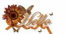 Hello