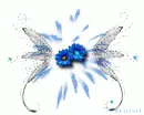 Blue flowers