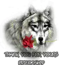 Thank You for ...