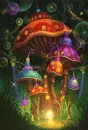 Forrest mushroom