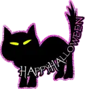 Happy Halloween>>>Black Cat