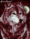 Wolf in the night