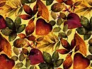 Autumn leaf