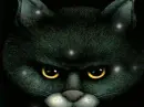 Halloween Cat