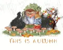 This is Autumn