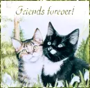 Friends forever!
