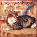 lazy weekend...