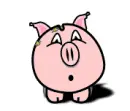 Crying pig