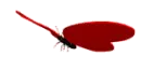 fly Butterfly