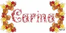 Carina